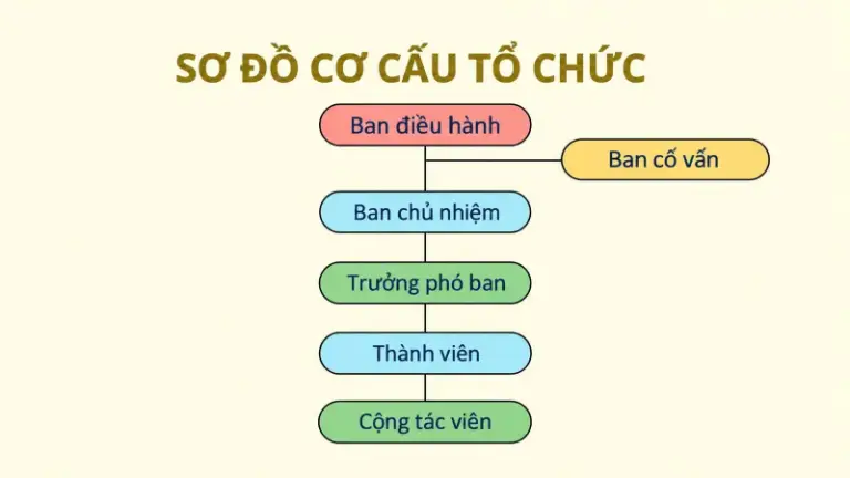 Ảnh trong bài 1