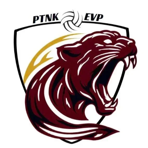 Elite Volleyball Project